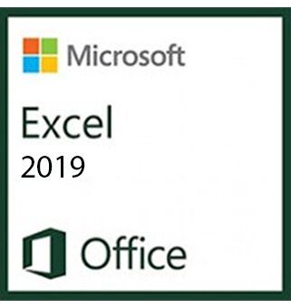 Microsoft Excel 2019 (OLP)